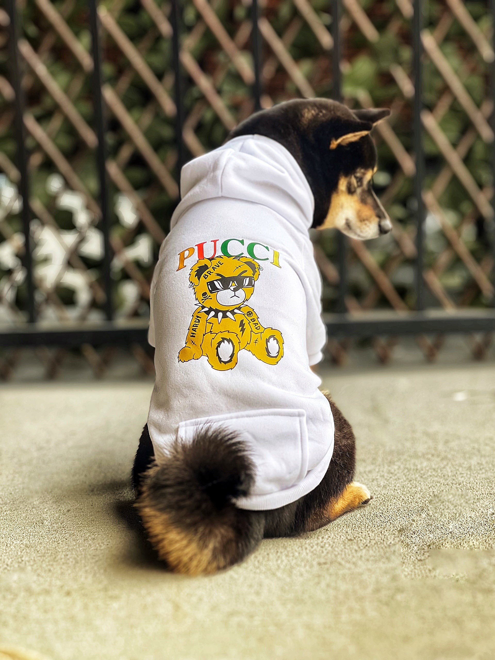 Pucci shop dog clothes